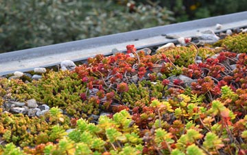 the cost of Arnisdale green roof installation