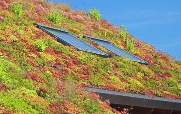 Arnisdale living roof systems