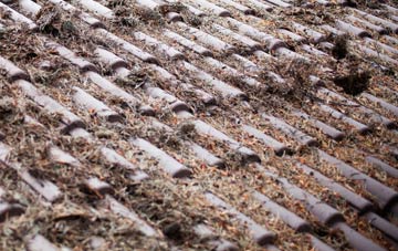 Arnisdale roof cleaning companies