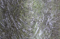 Arnisdale fibreglass roof work